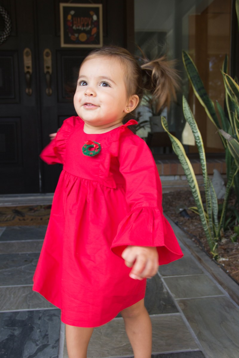 Toddler Holiday Photographer